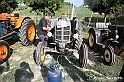 VBS_6480 - 4° Trattorata d'Epoca nelle Colline Alfieri - Tenuta Carlin de Paolo